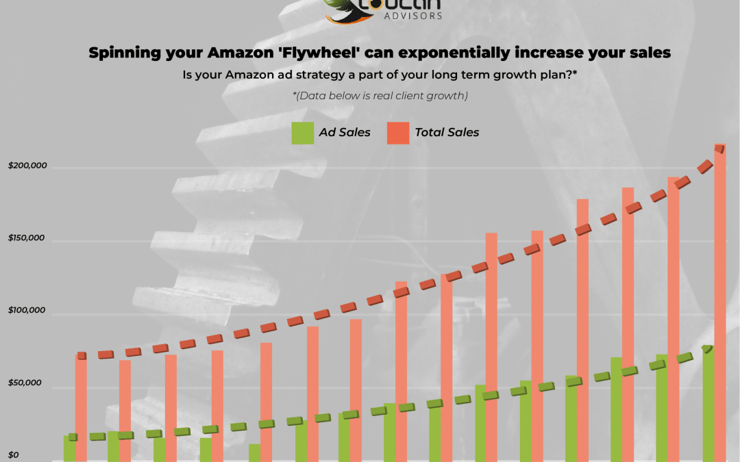Amazon Paid Ads Can Greatly Improve Overall Sales