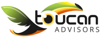 Toucan Advisors Logo Footer