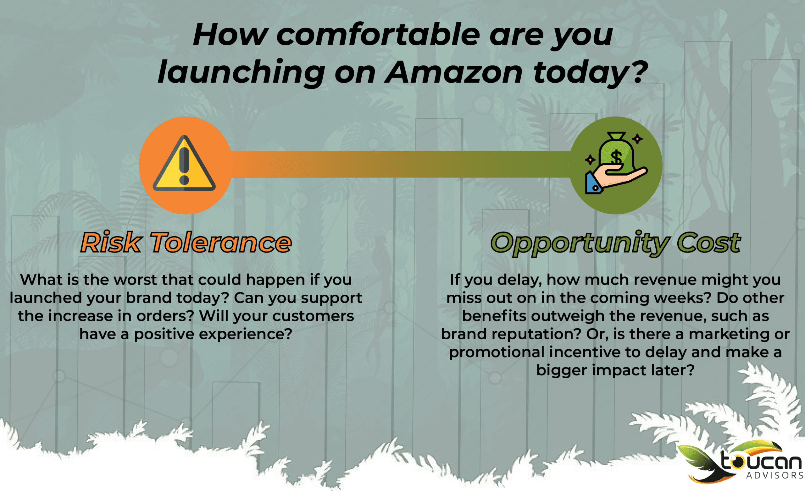 risk and opportunity cost graph amazon launch
